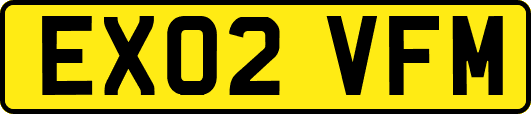 EX02VFM