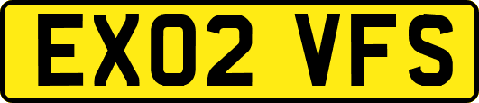 EX02VFS