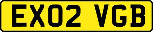 EX02VGB