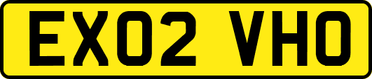 EX02VHO