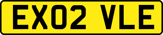 EX02VLE
