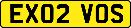 EX02VOS