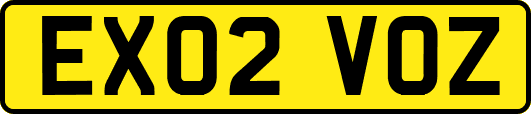 EX02VOZ