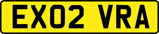 EX02VRA