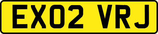 EX02VRJ