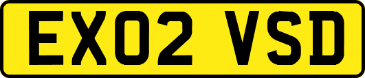 EX02VSD