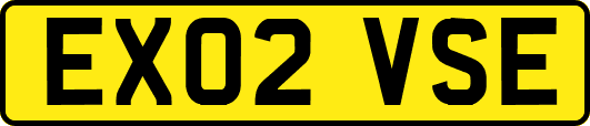 EX02VSE