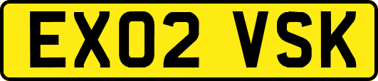 EX02VSK