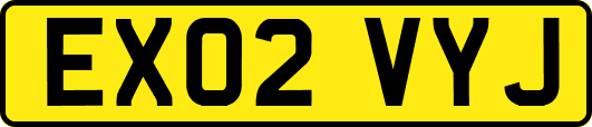 EX02VYJ