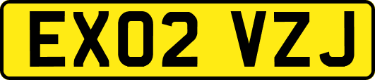 EX02VZJ