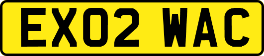 EX02WAC