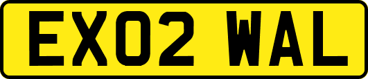EX02WAL