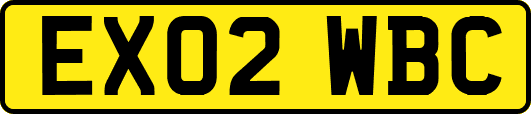 EX02WBC