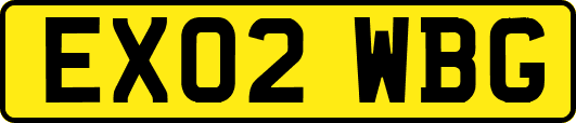 EX02WBG