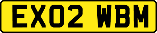 EX02WBM