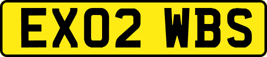 EX02WBS