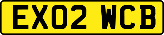 EX02WCB