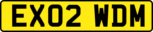 EX02WDM