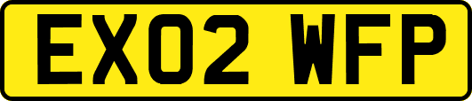 EX02WFP
