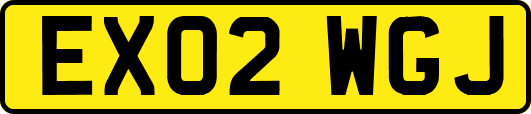 EX02WGJ