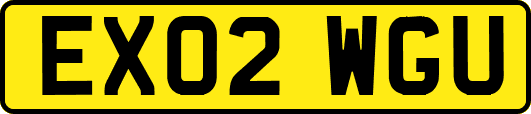 EX02WGU