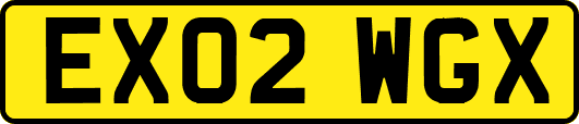EX02WGX