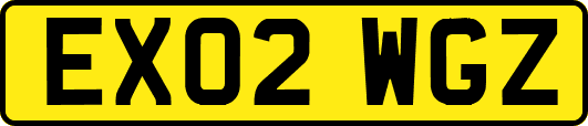 EX02WGZ