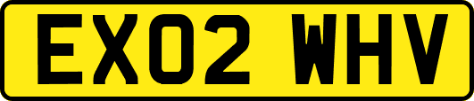 EX02WHV