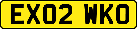 EX02WKO