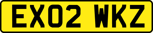 EX02WKZ