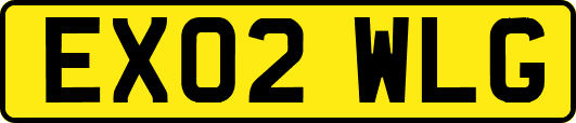 EX02WLG