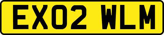 EX02WLM