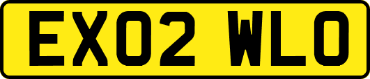 EX02WLO