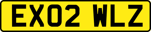 EX02WLZ