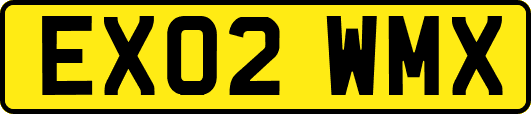 EX02WMX
