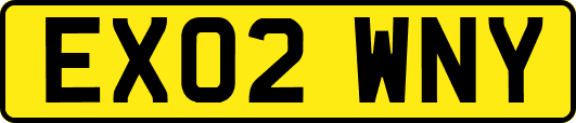 EX02WNY
