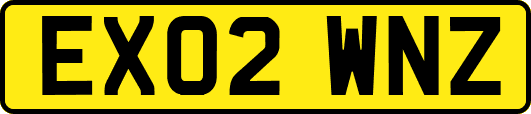 EX02WNZ