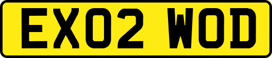 EX02WOD