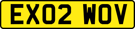 EX02WOV