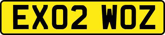 EX02WOZ