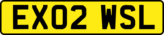 EX02WSL