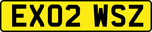 EX02WSZ