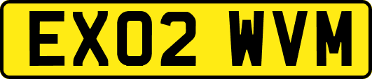 EX02WVM