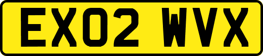 EX02WVX