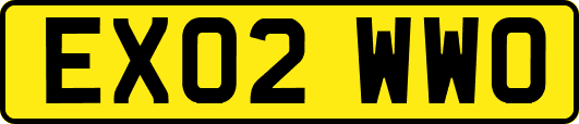 EX02WWO