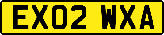 EX02WXA