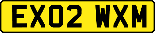 EX02WXM