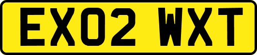EX02WXT
