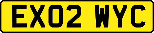 EX02WYC