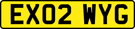 EX02WYG